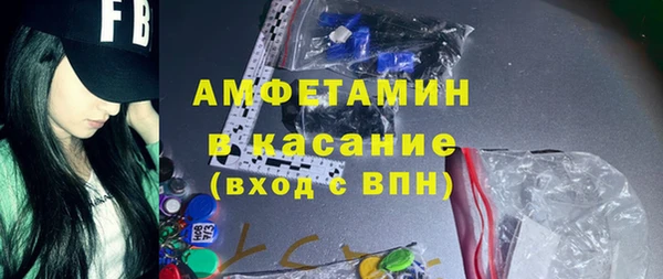 мет Алексин