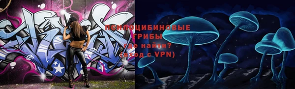 мет Алексин