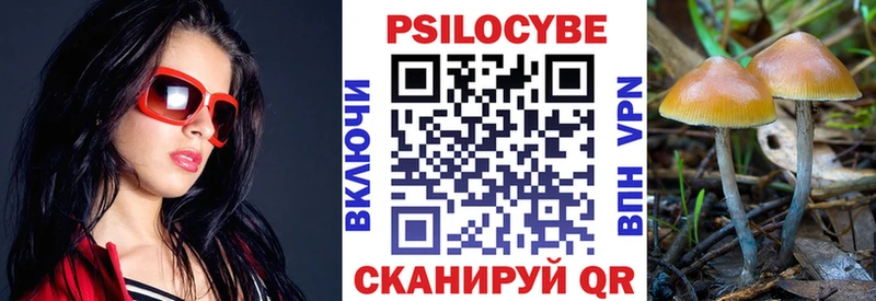 Галлюциногенные грибы мухоморы  Кашин 